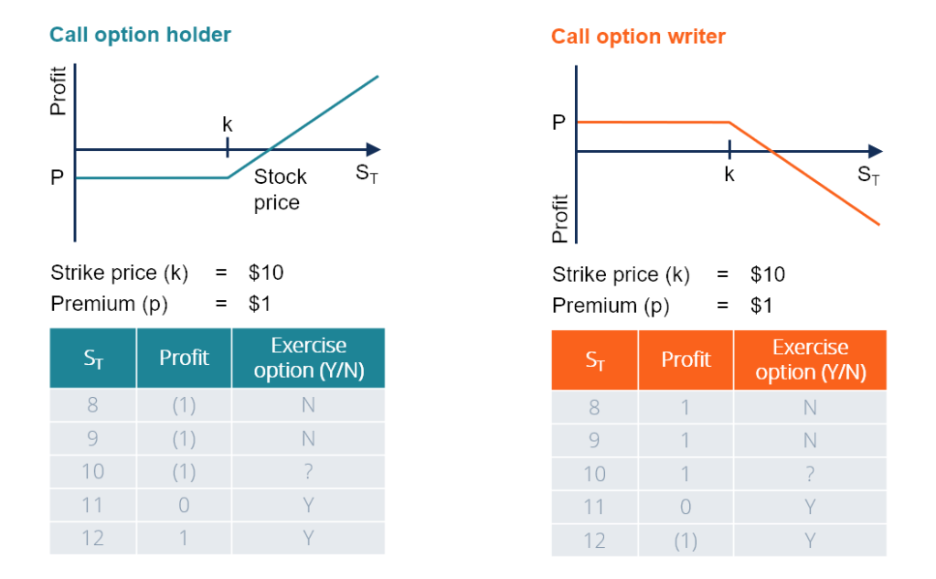 Understanding Options: A Comprehensive Case Study