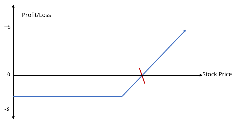 Understanding Payoff Graphs vs. Profit & Loss Diagrams in Options Trading