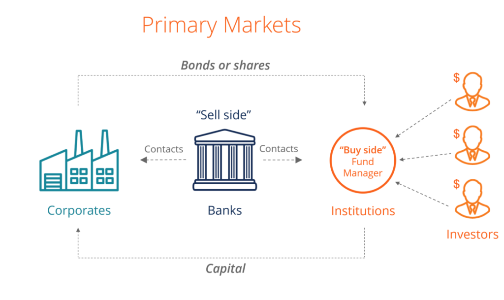 Understanding the Primary Market: A Comprehensive Guide