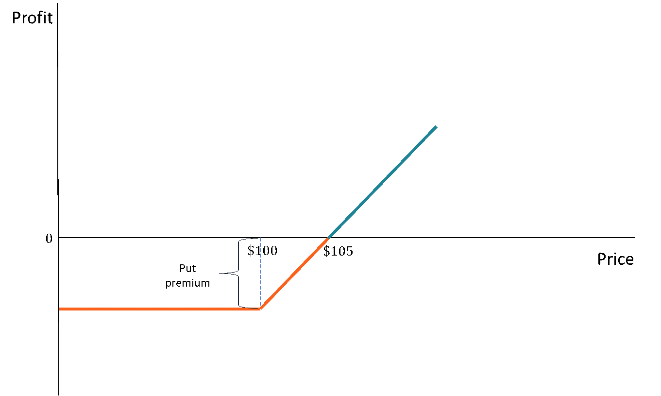 Protective Puts: A Comprehensive Guide to Risk Management