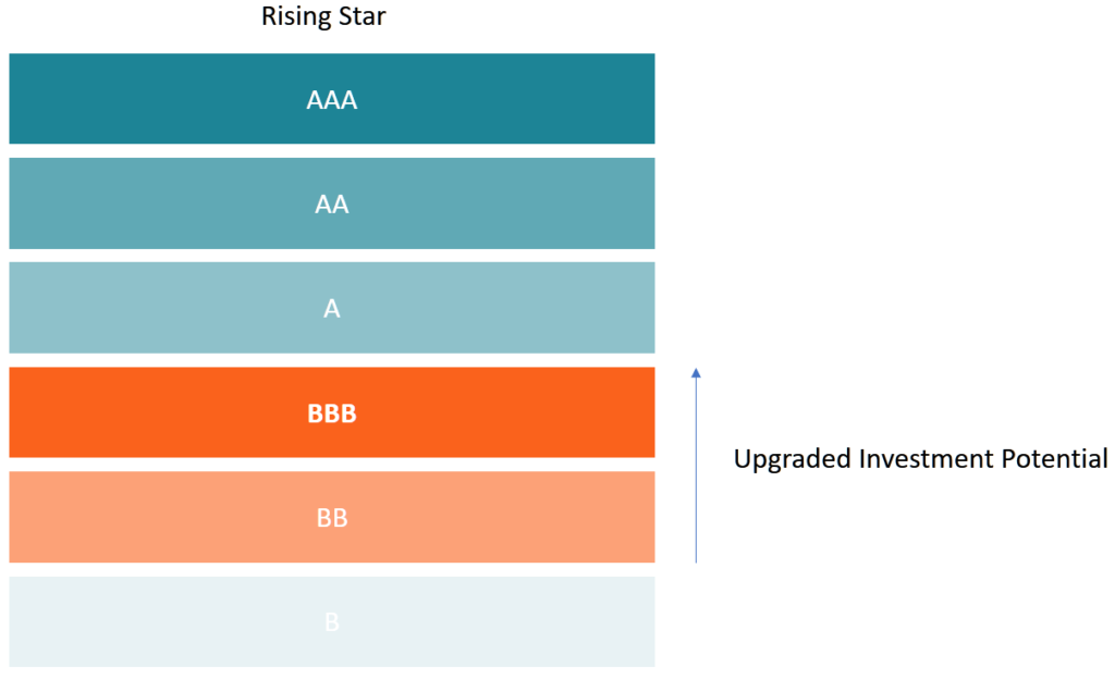 Understanding Rising Star Companies in Debt Capital Markets