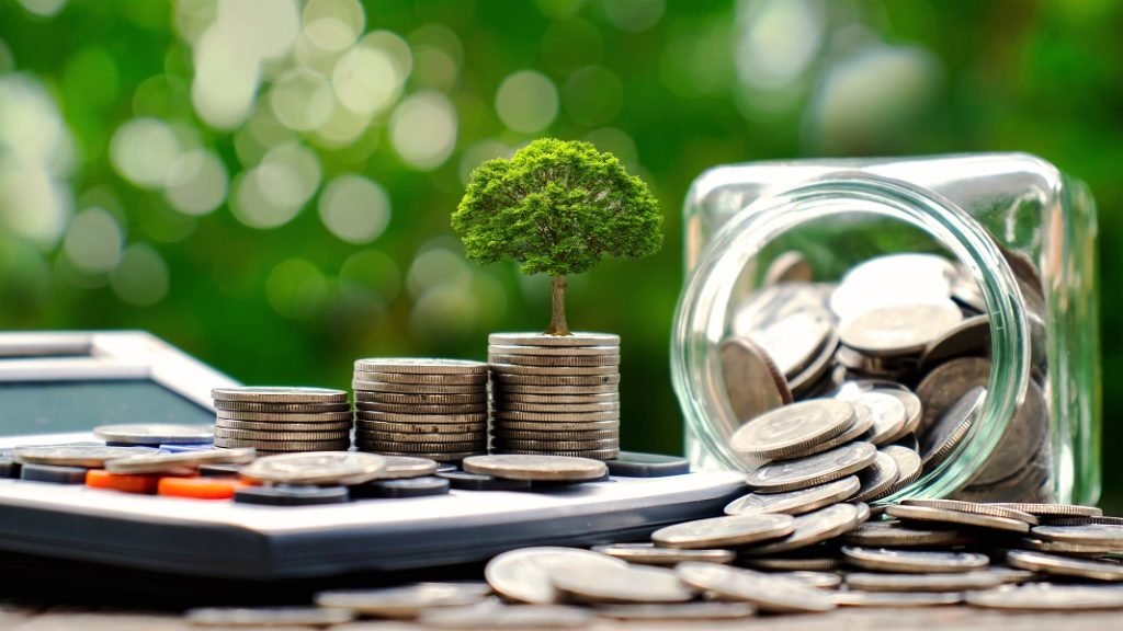 Sustainable Investing: A Guide to ESG Strategies