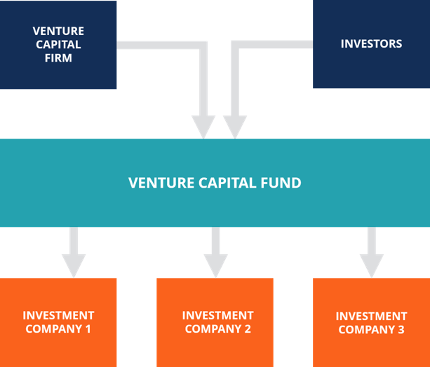 Venture Capital Funds: Investing in High-Growth Startups