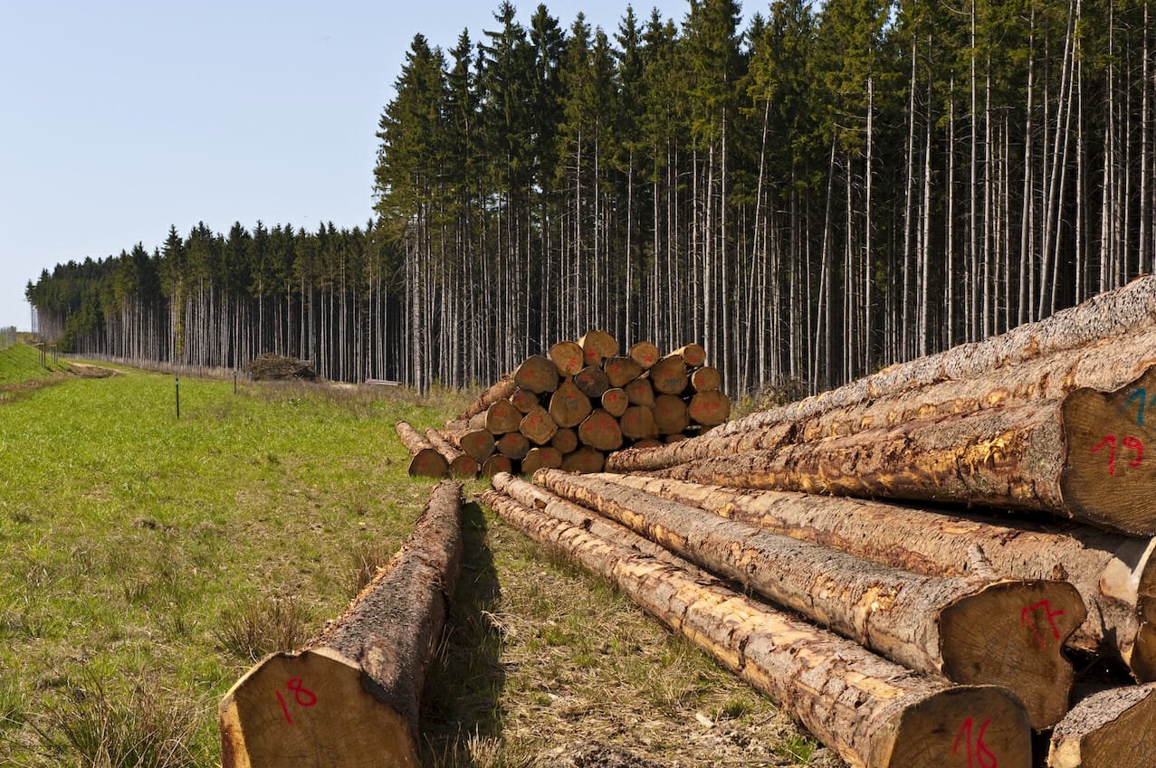 Biological Assets: Definition, Examples & Accounting