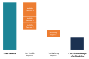 Understanding Contribution Margin After Marketing (CMAM): Definition & Calculation