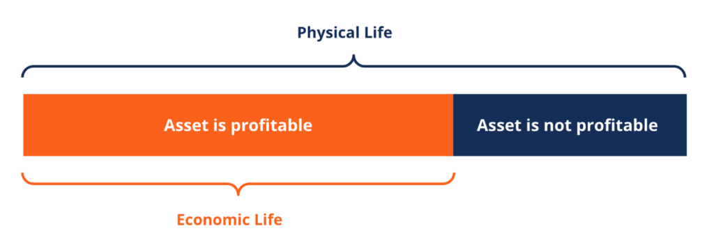 Understanding Economic Life: Definition & Calculation