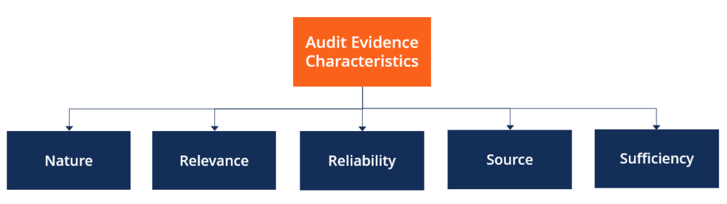Understanding Audit Evidence: A Comprehensive Guide