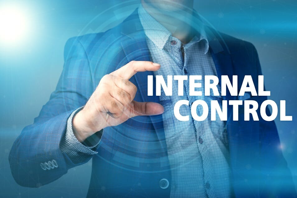 Internal Controls: Definition, Types & Importance for Financial Reporting