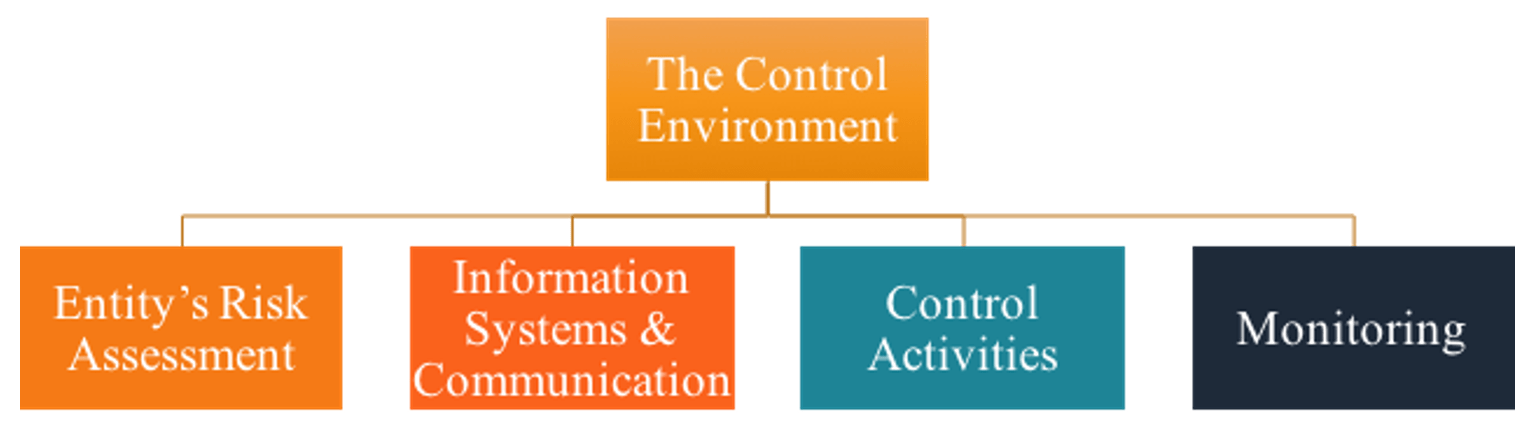 Internal Controls: Definition, Types & Importance for Financial Reporting