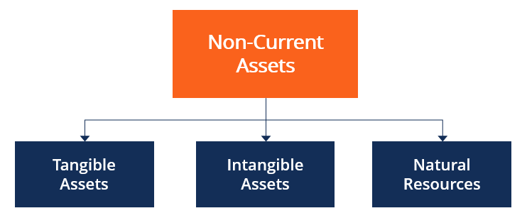 Non-Current Assets: Definition, Examples & Accounting