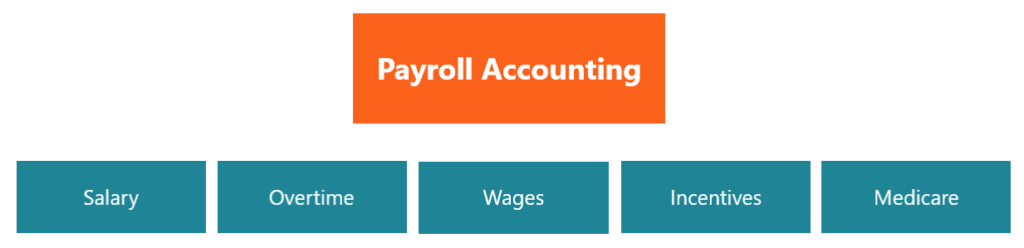 Payroll Accounting: A Comprehensive Guide for Businesses
