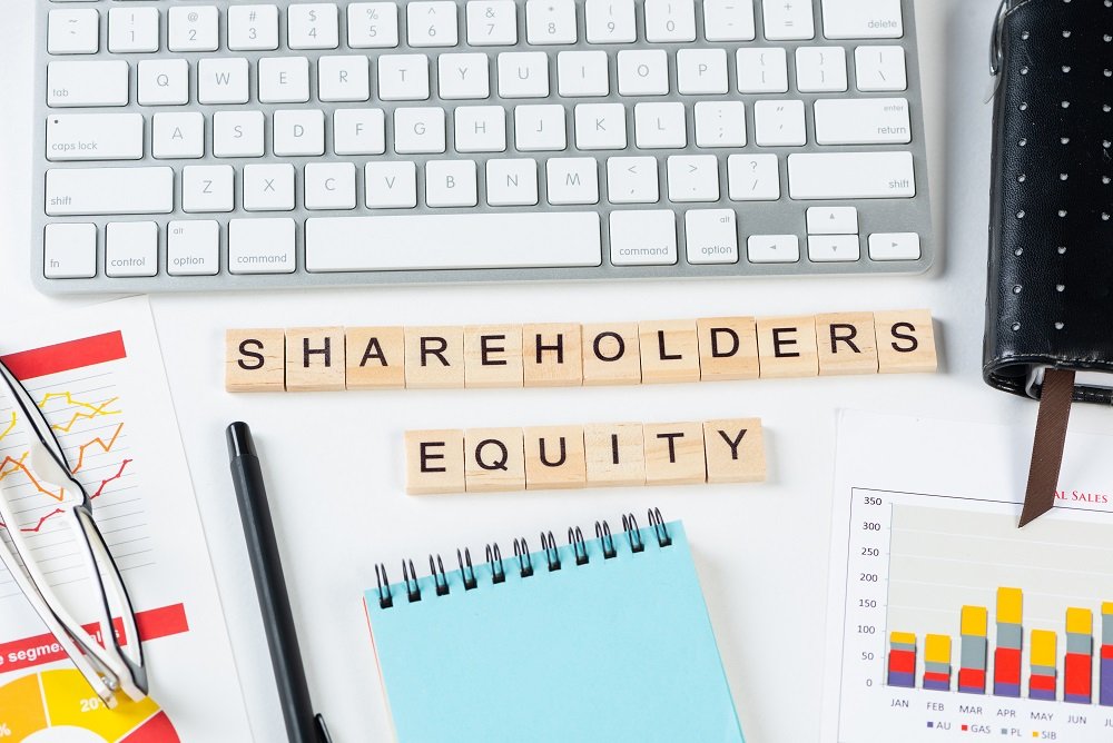 Shareholders  Equity: Understanding Owner s Claim on Company Assets