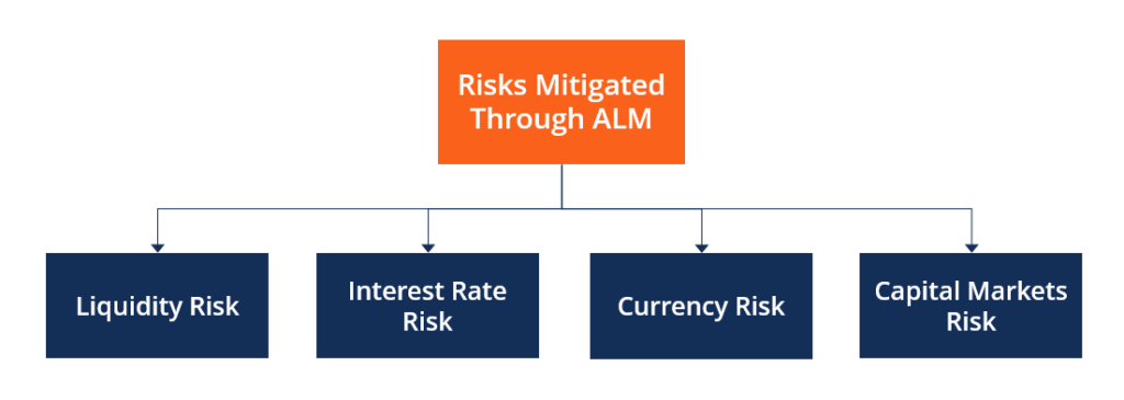 Asset & Liability Management (ALM): A Comprehensive Guide