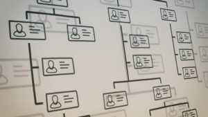 Choosing the Right Organizational Structure for Your Business