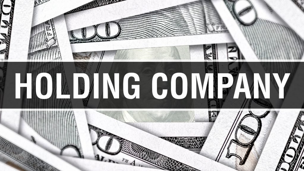 Holding Companies: Definition, Purpose & How They Work