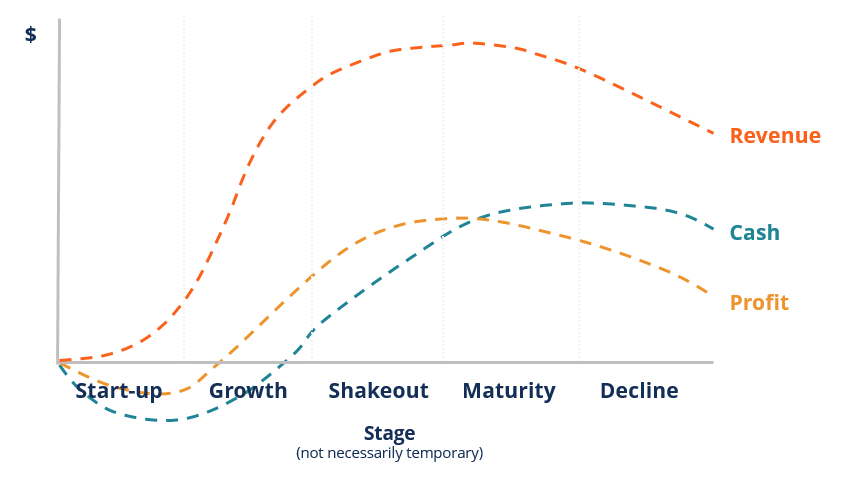 Understanding the Industry Life Cycle: Stages & Dynamics
