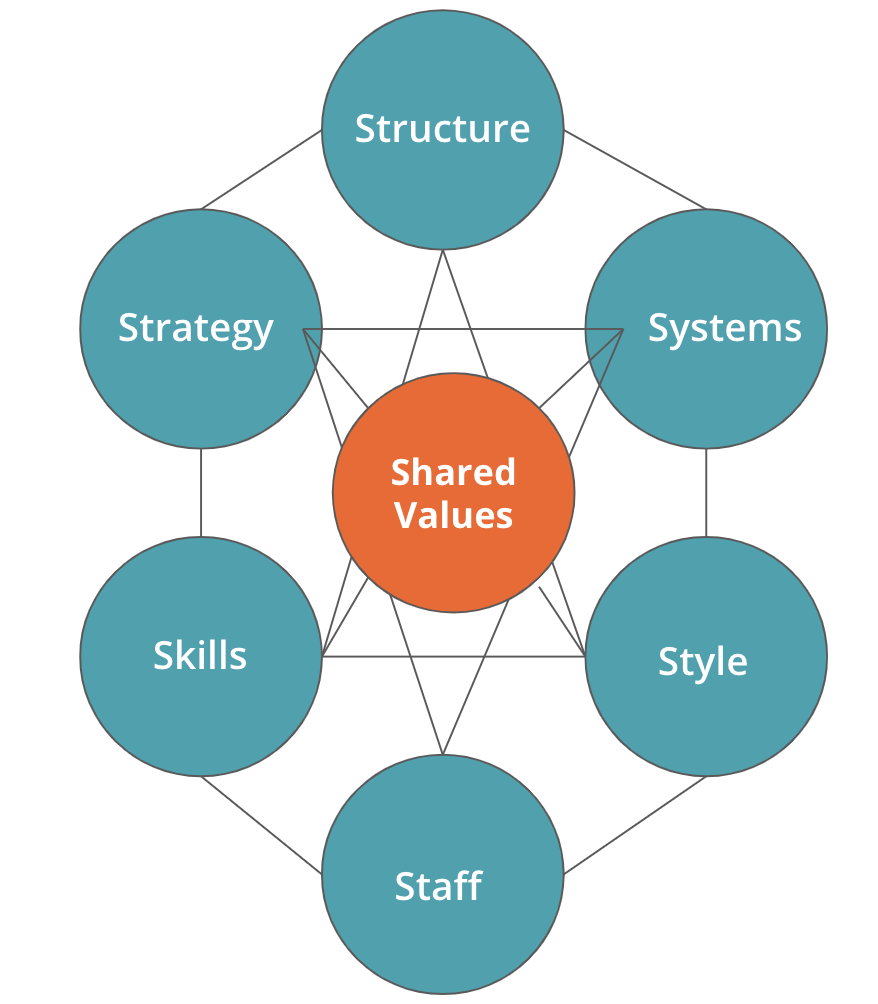 McKinsey 7S Model: Understanding Organizational Effectiveness