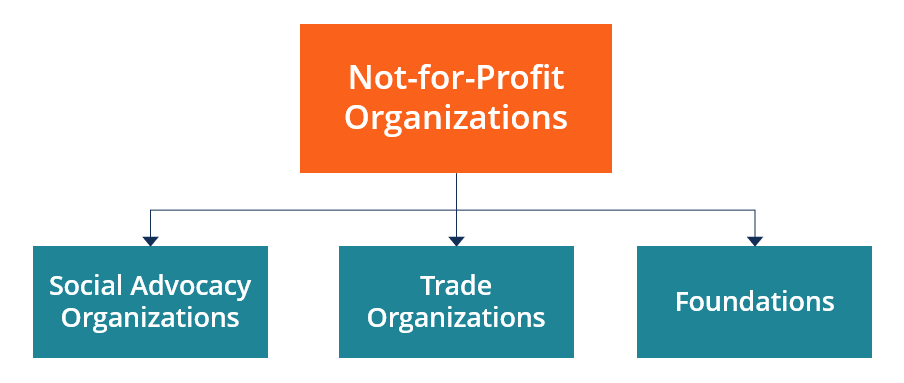 Understanding Not-for-Profit Organizations: Mission, Funding & Operations