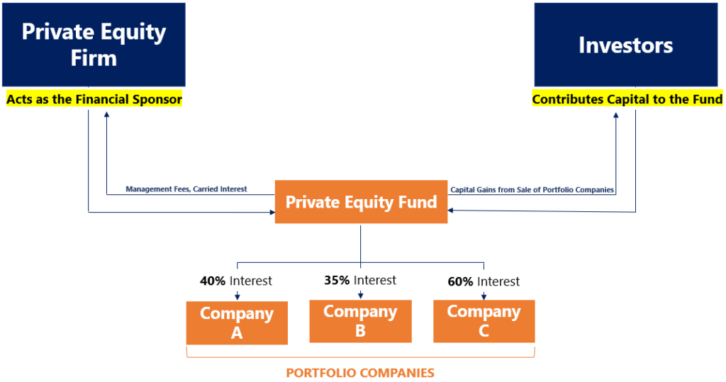 Portfolio Companies: Definition & How Private Equity Uses Them