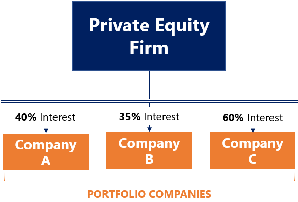 Portfolio Companies: Definition & How Private Equity Uses Them