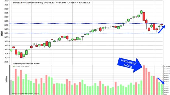 Navigating Market Volatility: A Two-Week Trading Strategy