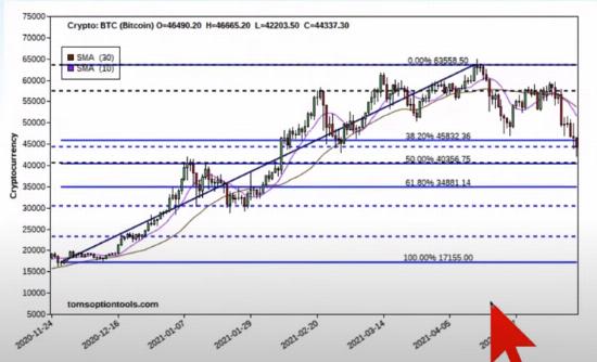 Bitcoin Price Analysis: Recent Drop & Elon Musk s Impact