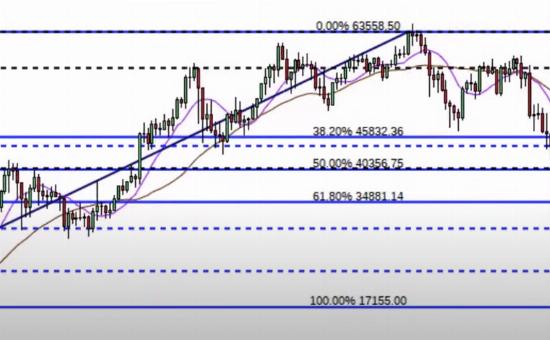 Bitcoin Price Analysis: Recent Drop & Elon Musk s Impact