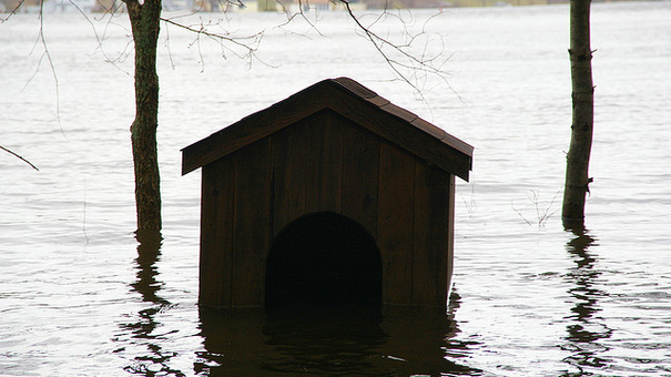 Mortgage Relief Options: 6 Strategies When Facing Financial Strain