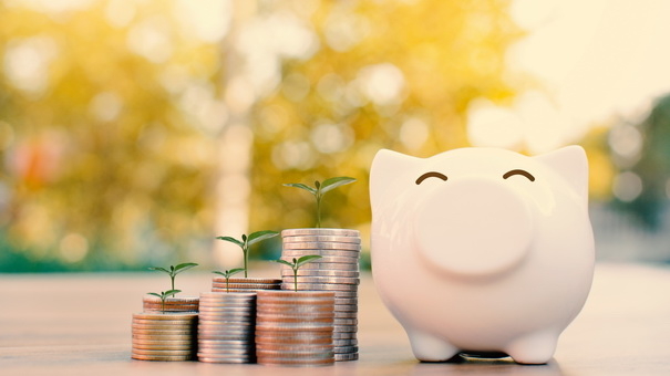 Debt Reduction Strategies: A Spring Cleaning Guide