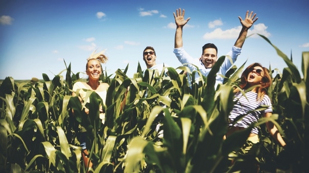 Debt Management Strategies: A Strategic Approach to Financial Freedom