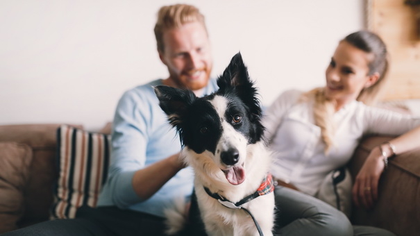 When to Review Your Homeowners Insurance: 7 Key Times