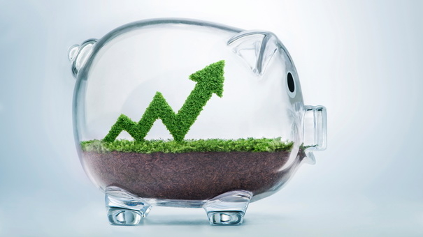 Understanding the Stock Market: 6 Facts to Boost Your Confidence