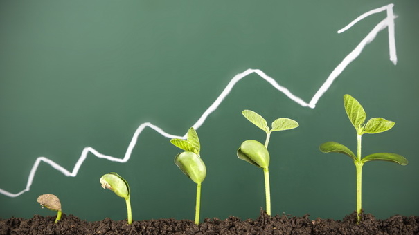 Understanding Rate of Return: A Guide to Smarter Investing