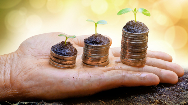 Sustainable Investing: 5 Eco-Friendly Stocks for 2024