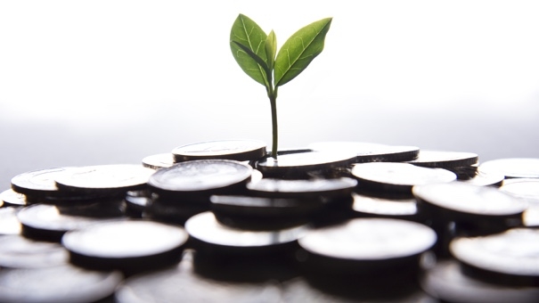 Essential Investing Rules: 8 Principles for Financial Success