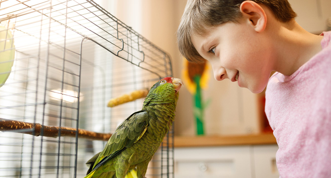 23 Smart Ways to Reduce Pet Expenses & Save Money