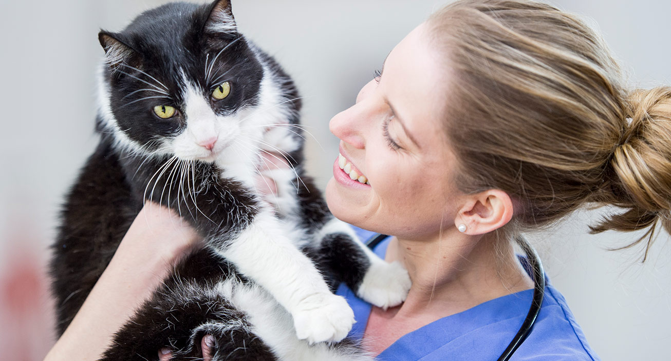 23 Smart Ways to Reduce Pet Expenses & Save Money