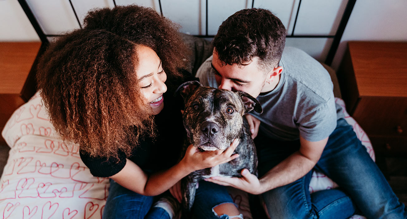 23 Smart Ways to Reduce Pet Expenses & Save Money