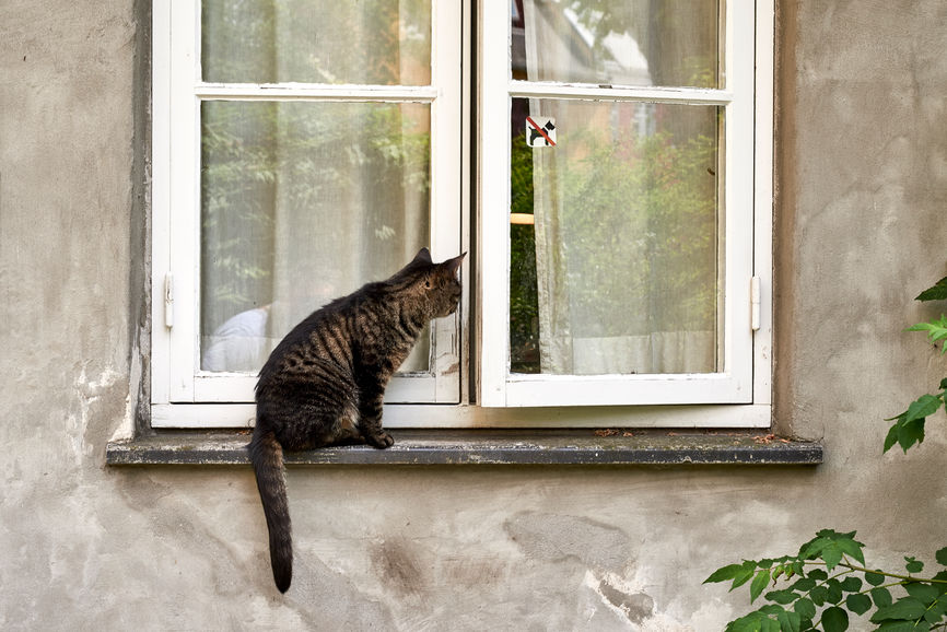 Is It Time to Buy a House? Key Financial & Personal Readiness Signs