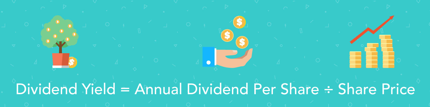 Dividend Yield Explained: Calculation & Importance for Investors