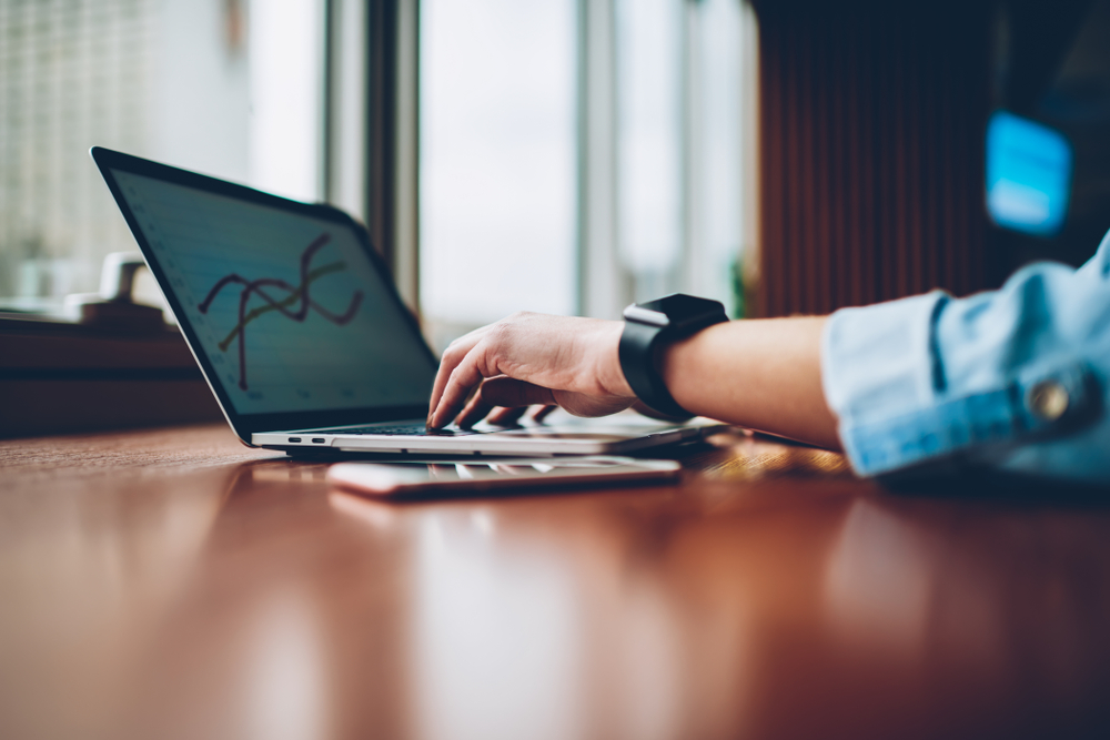 Dividend Yield Explained: Calculation & Importance for Investors