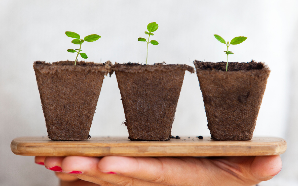 Beginner s Guide to Investing: A Personal Story