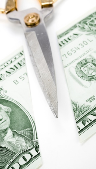 Slash Your Monthly Expenses: The $1,000 Challenge - A Budgeting Expert s Insights