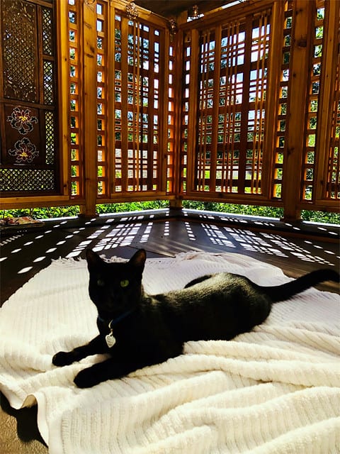 My Hot Tub Purchase: A Financial Perspective