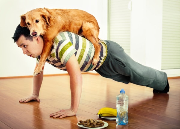 Affordable Pet Care: Budget-Friendly Tips for a Healthy Companion