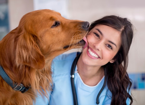 Affordable Pet Care: Budget-Friendly Tips for a Healthy Companion