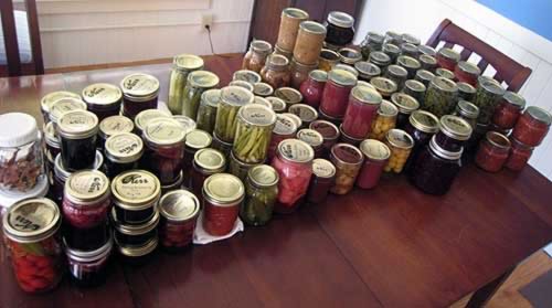 Canning Food: A Cost-Effective Way to Preserve & Save Money