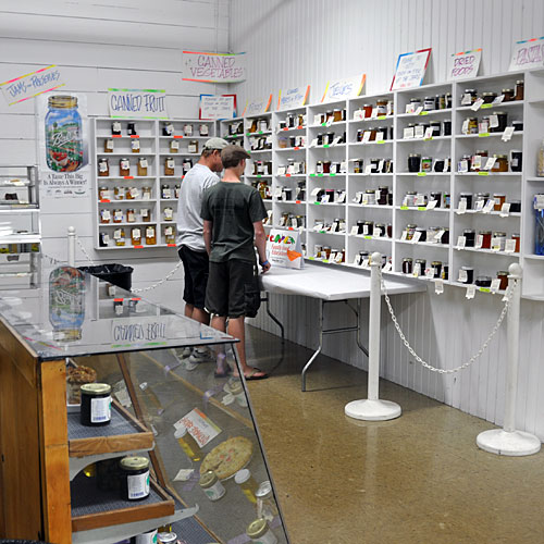 Canning Food: A Cost-Effective Way to Preserve & Save Money