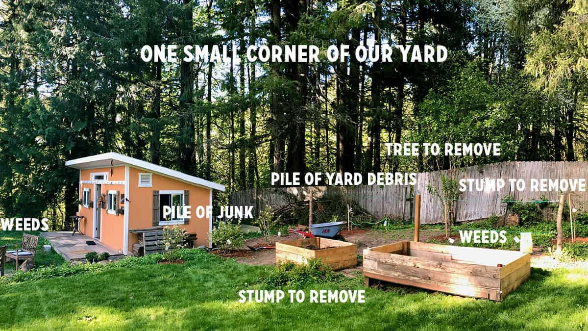 Spring Yard Work & Productivity: A Portland Perspective
