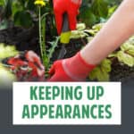 Spring Yard Work & Productivity: A Portland Perspective